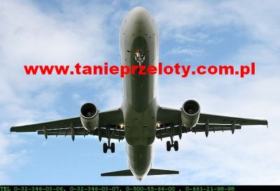 www.tanieprzeloty.com.pl