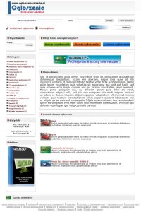 Oferuję profesjonalne wykonanie serwisu ogłoszeniowego już od 400 PLN netto.