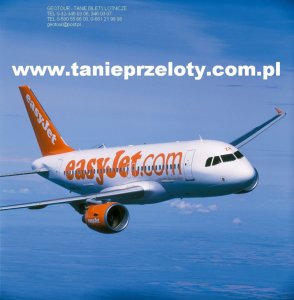 www.tanieprzeloty.com.pl