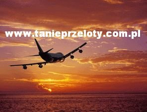 www.tanieprzeloty.com.pl