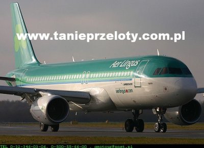 www.tanieprzeloty.com.pl
