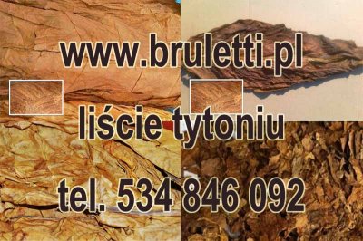 liście tytoniu