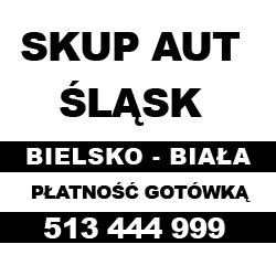 Skup aut / Komis - Bielsko Biała : Aleksandrowice Hałcnów Kamienica