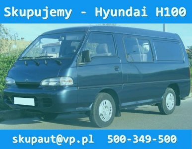500-349-500   skupaut@vp.pl   skupautzagotowke.net