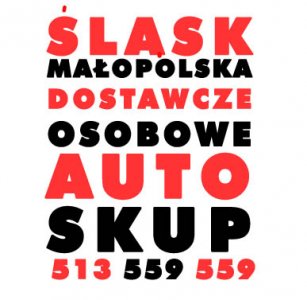 PROFESJONALNY SKUP AUT OSOBOWYCH , DOSTAWCZYCH I CIĘŻAROWYCH NA ŚLĄSKU I W MAŁOPOLSCE - NAJLEPSZE CENY