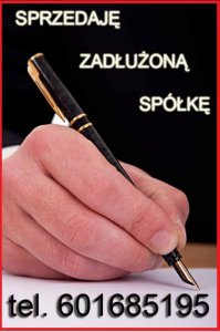 kupię spółkę