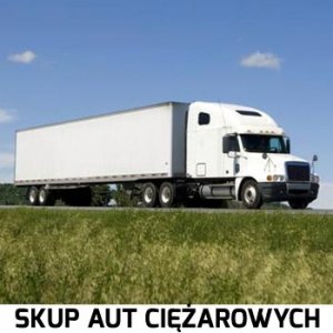 skup aut/samochodów ciężarowych dostawczych mercedes atego iveco eurocargo man daf